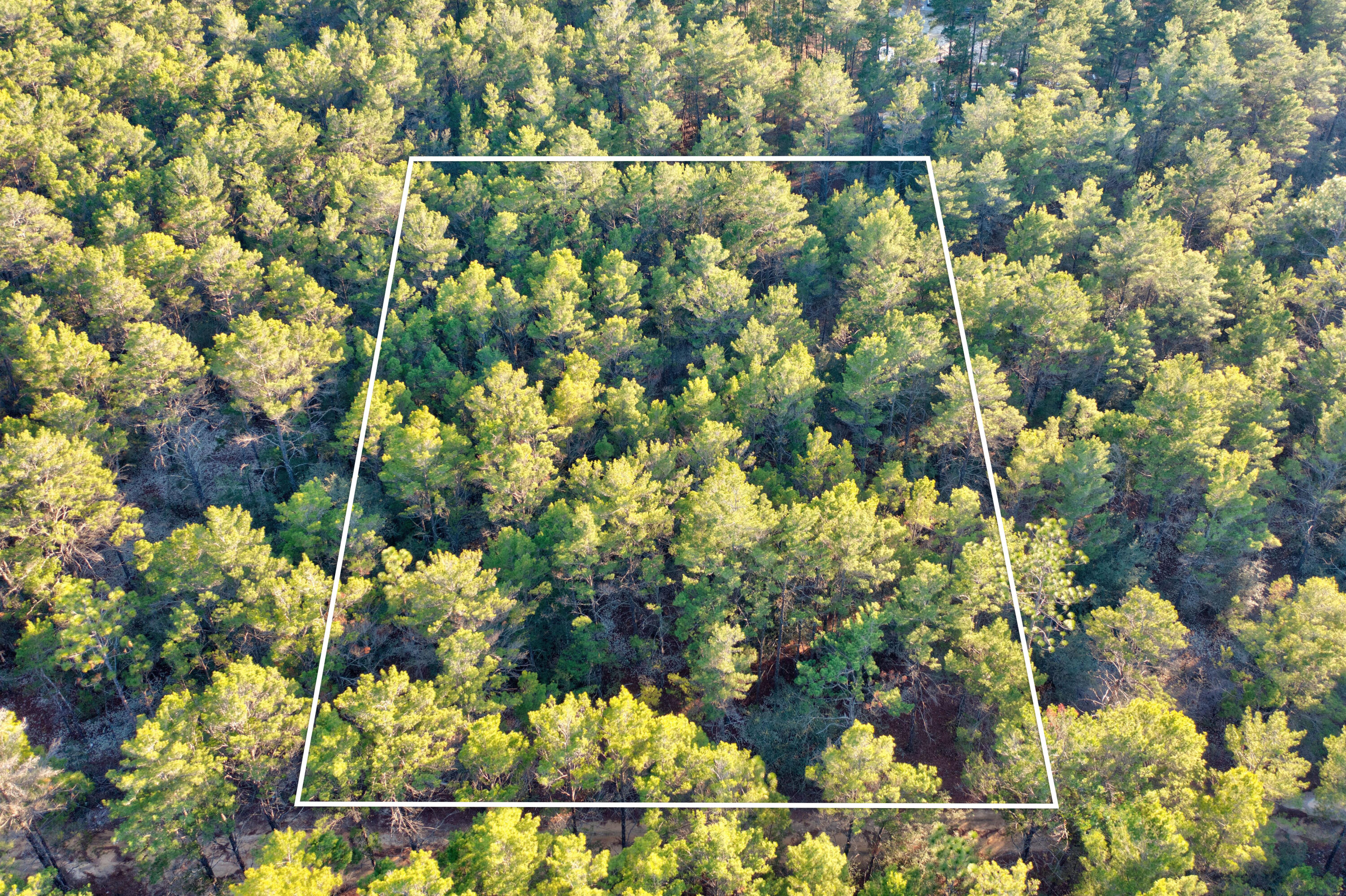 92 Duke Drive DeFuniak Springs, FL 32433 - Photo 2 of 3 a view of lake from a city