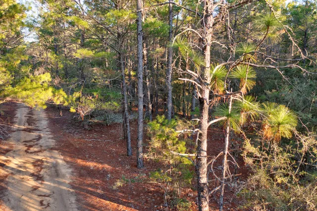 $24,500 | 92 Duke Drive, DeFuniak Springs, FL 32433