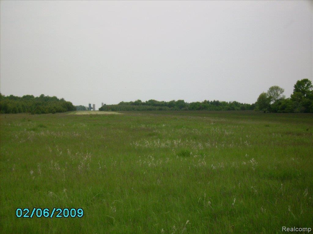 0 West Deckerville Road North Snover, MI 48472 - Photo 1 of 1 V L East Deckerville