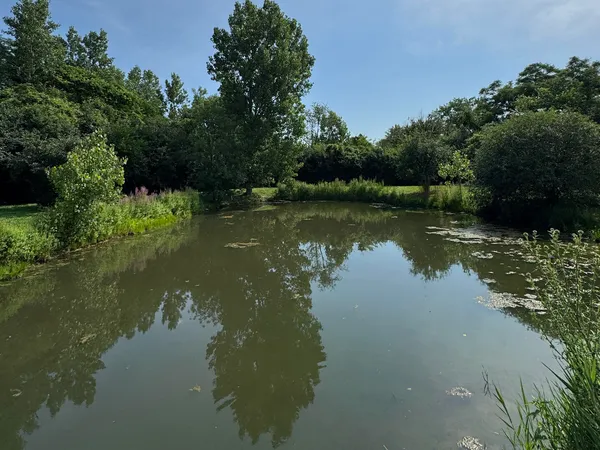 $2,449,999 | 16W122 91st Street, Burr Ridge, IL 60527