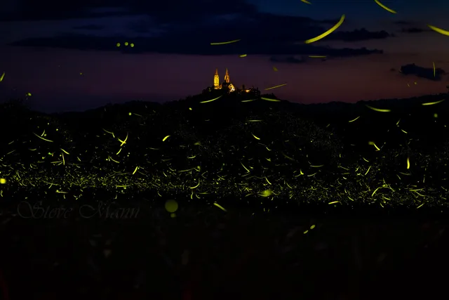 $1,150,000 | 5365 Highway 167, Erin, WI 53033