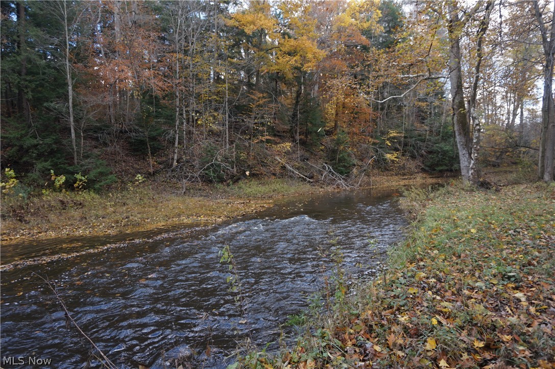 4475 Benetka Road Ashtabula, OH 44004 - Photo 3 of 35 Gallery Image 3