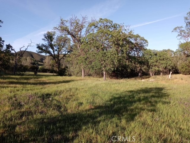 552 Watertrough Road Clearlake Oaks, CA 95423 - Photo 23 of 24 a view of outdoor space with trees all around