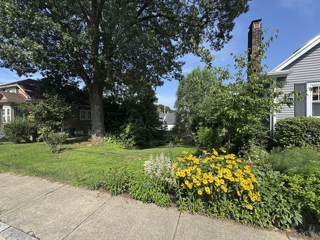 a view of a garden with flowers