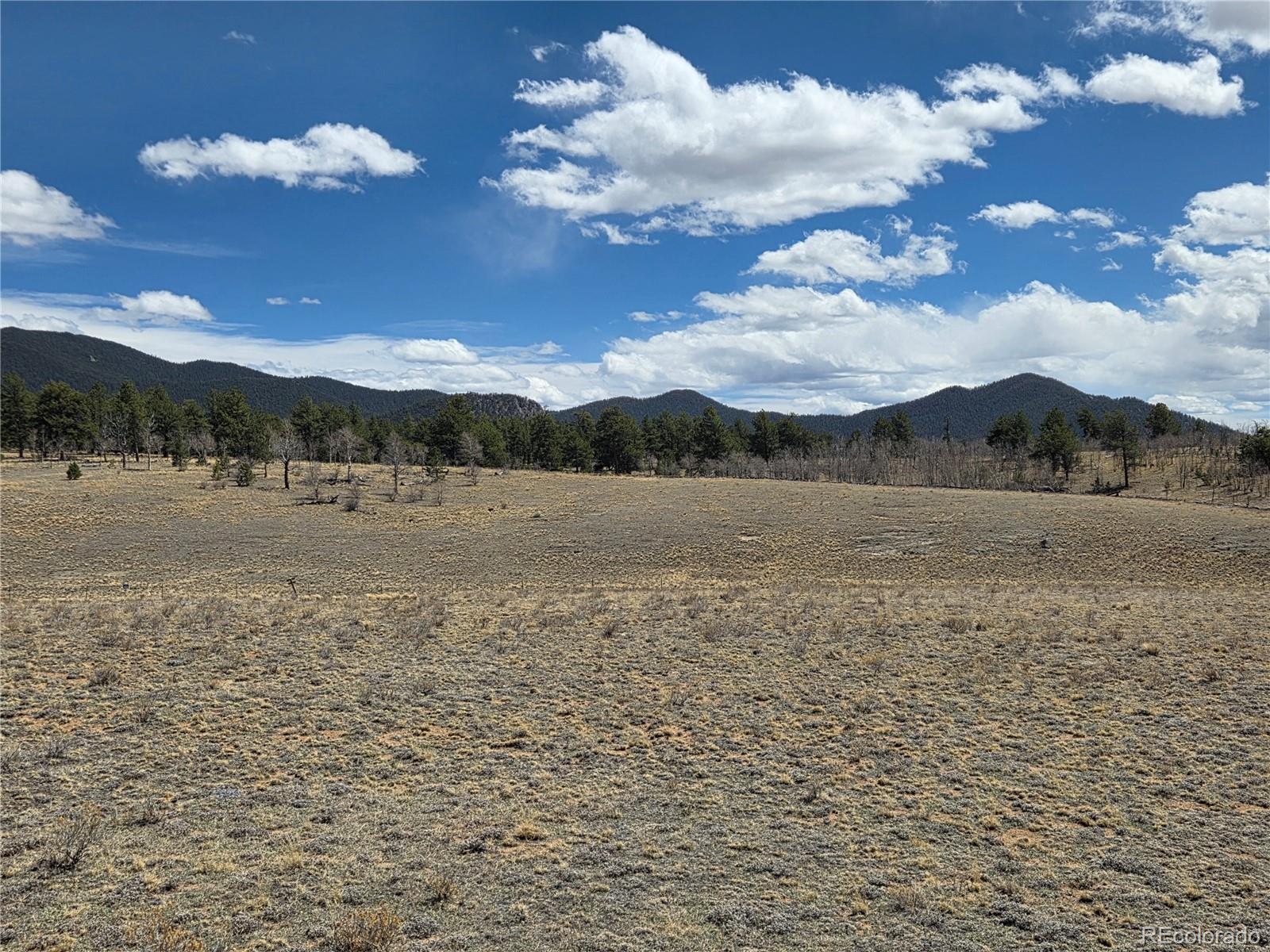 3489 Ute Trace Hartsel, CO 80449 - Photo 5 of 12 a view of lake view with mountain