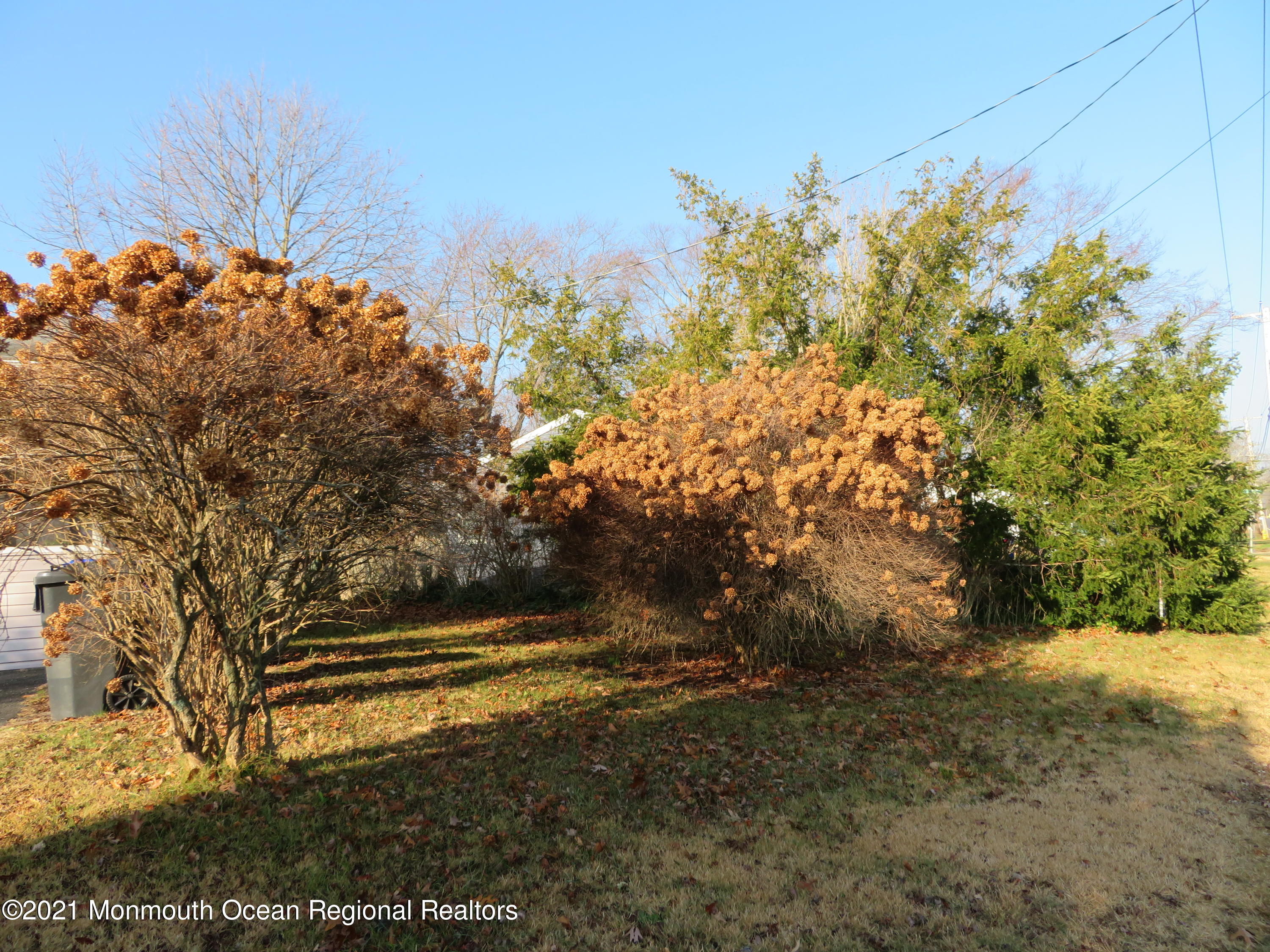 744 Midstreams Road Brick, NJ 08724 - Photo 10 of 28 IMG_0300