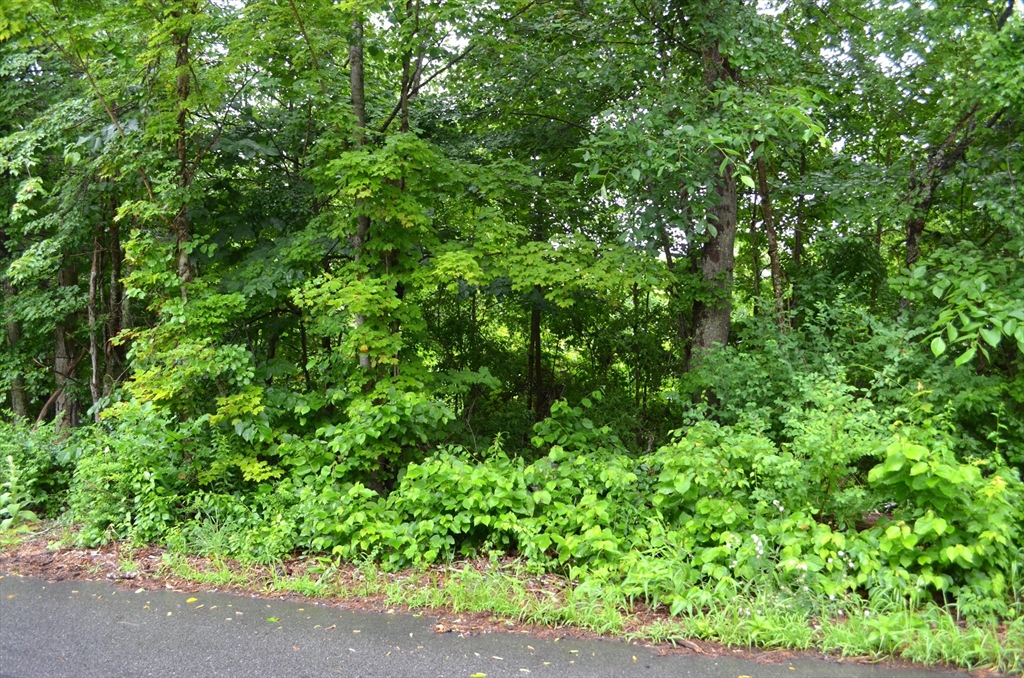 Lot 5 Babcock Tavern Road Ware, MA 01082 - Photo 2 of 3 Gallery Image 2