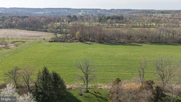 $1,749,500 | 29 Juniper Court, Carversville, PA 18913