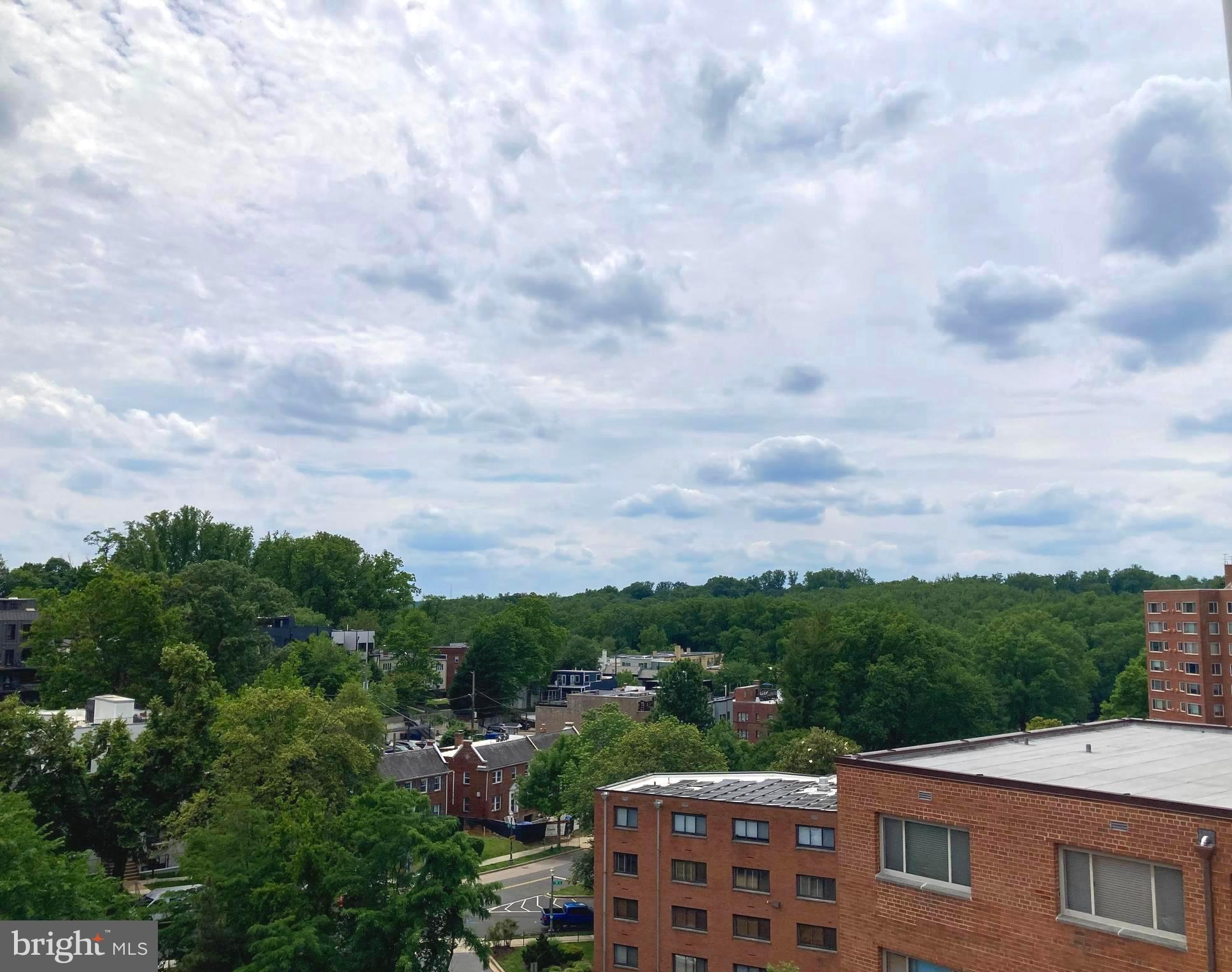 3900 Tunlaw Road Northwest, Unit 419 Washington, DC 20007 - Photo 19 of 19 Gallery Image 19