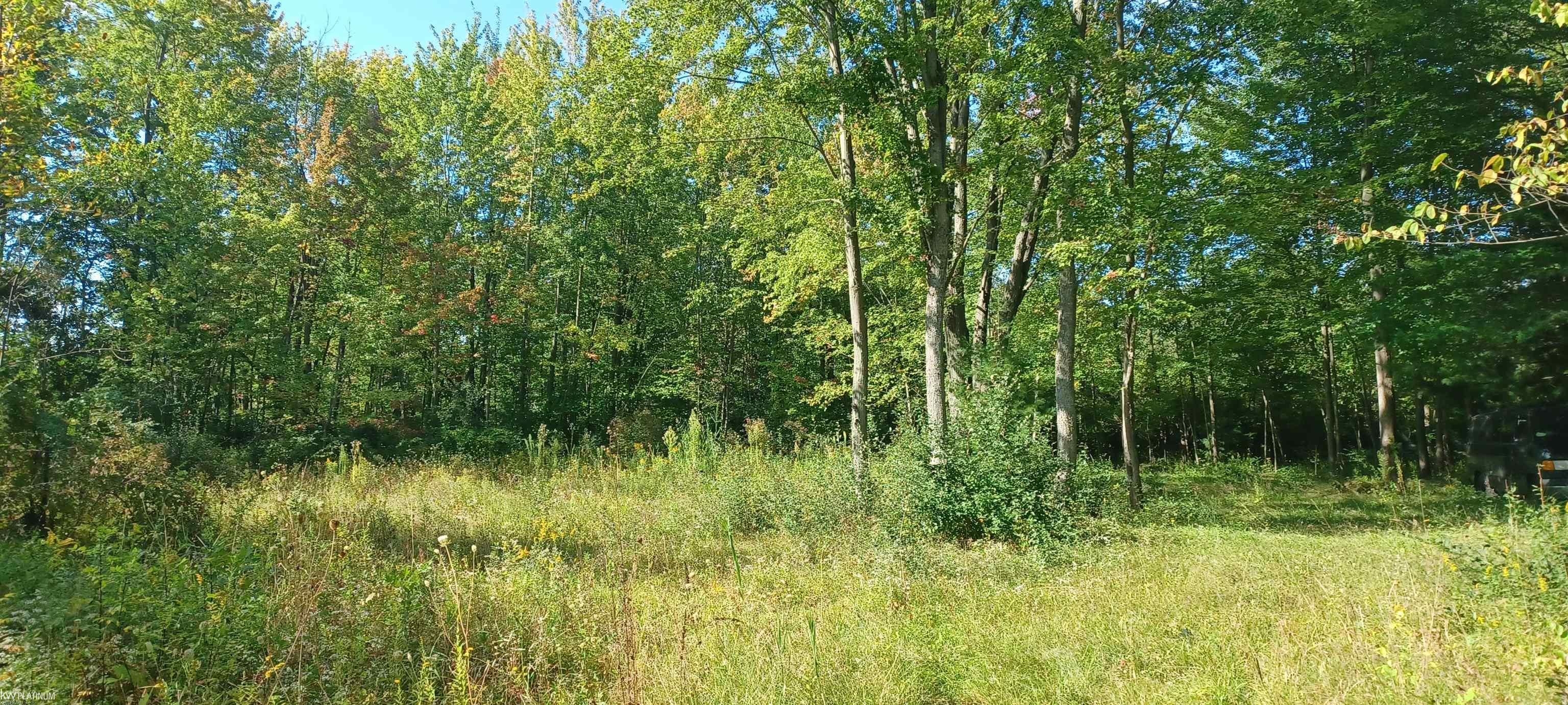 0 South Richman Road St. Clair, MI 48079 - Photo 3 of 8