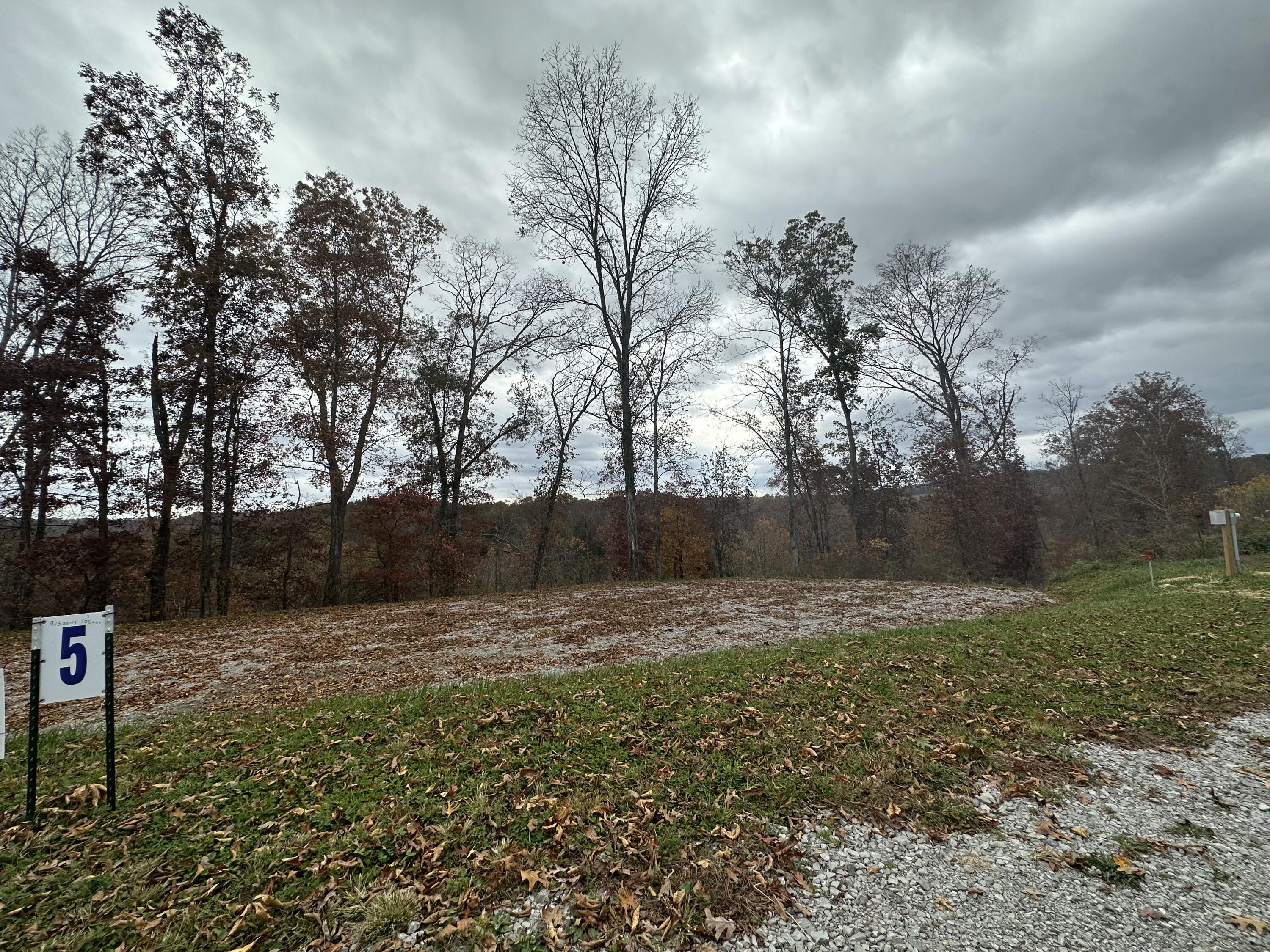 Lot 5 Baldwin Road McKee, KY 40447 - Photo 3 of 34 IMG_0075