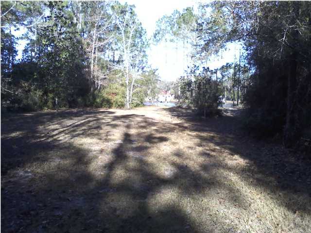 Lot 15 Mallet Bayou Road Freeport, FL 32439 - Photo 3 of 4 a view of backyard with green space