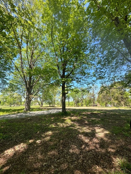 8212 Cairo Bend Road Lebanon, TN 37087 - Photo 1 of 1 Gallery Image 1