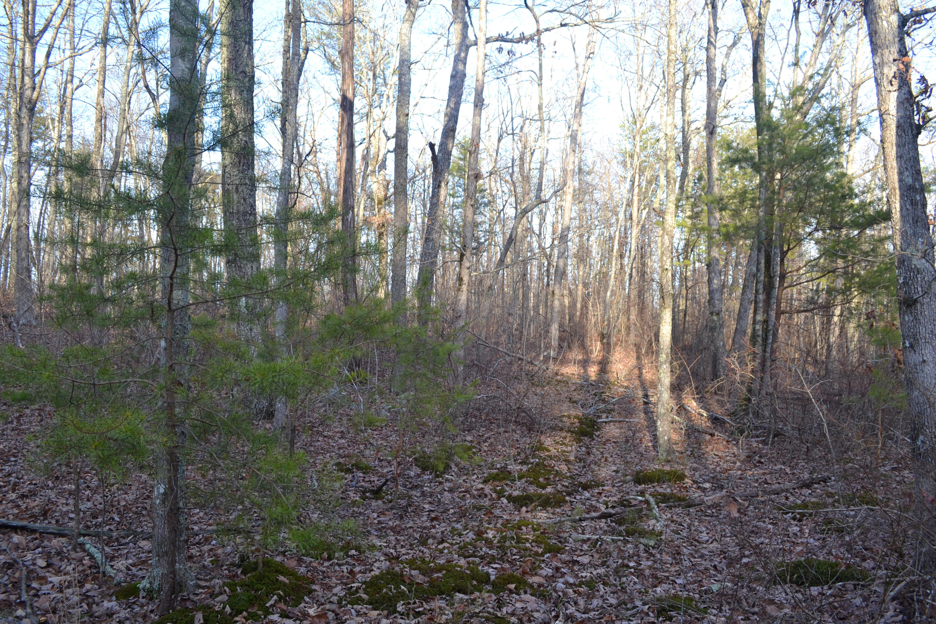 10.5-ac Window Rock Road Dunlap, TN 37327 - Photo 2 of 5 17