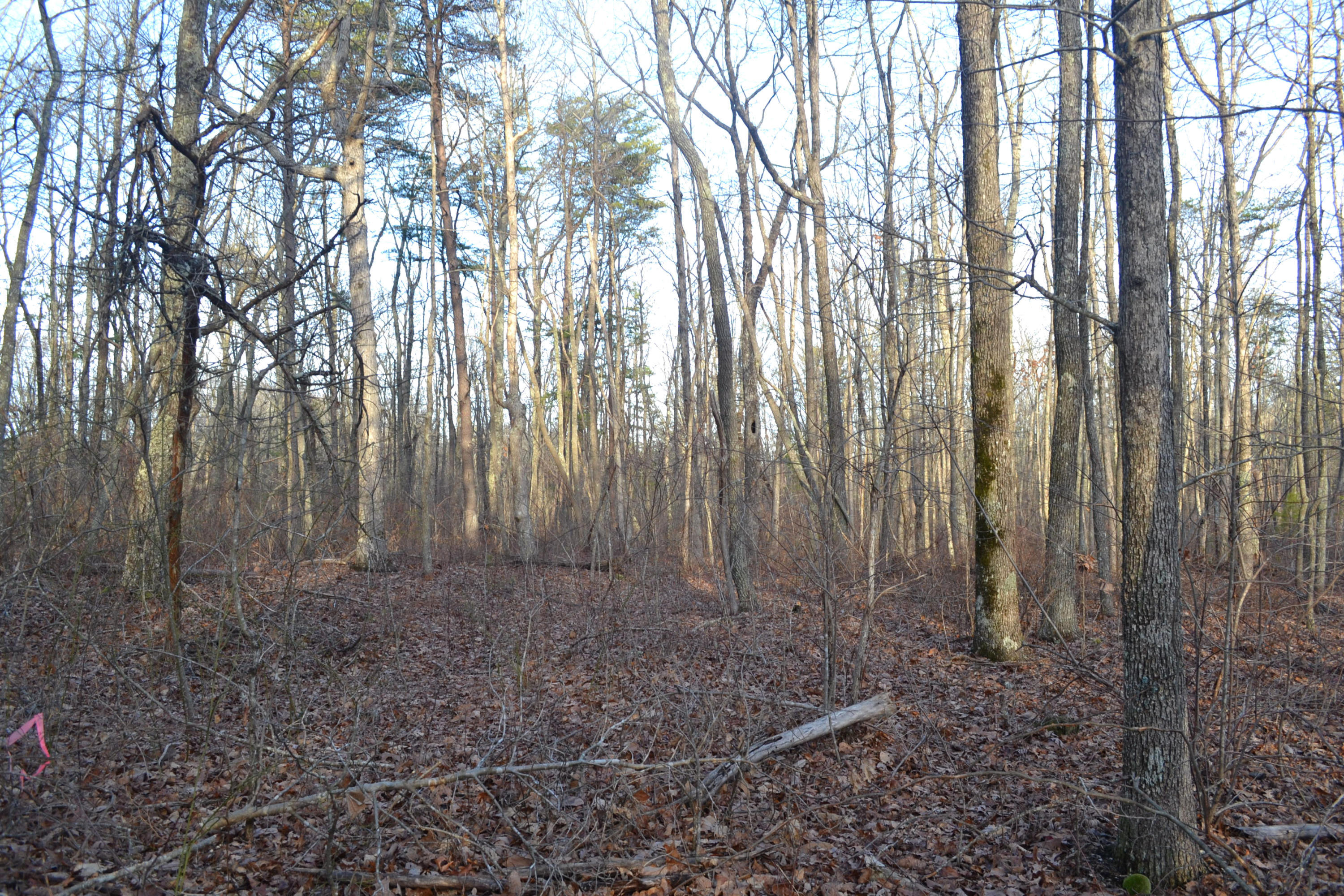 10.5-ac Window Rock Road Dunlap, TN 37327 - Photo 4 of 5 19