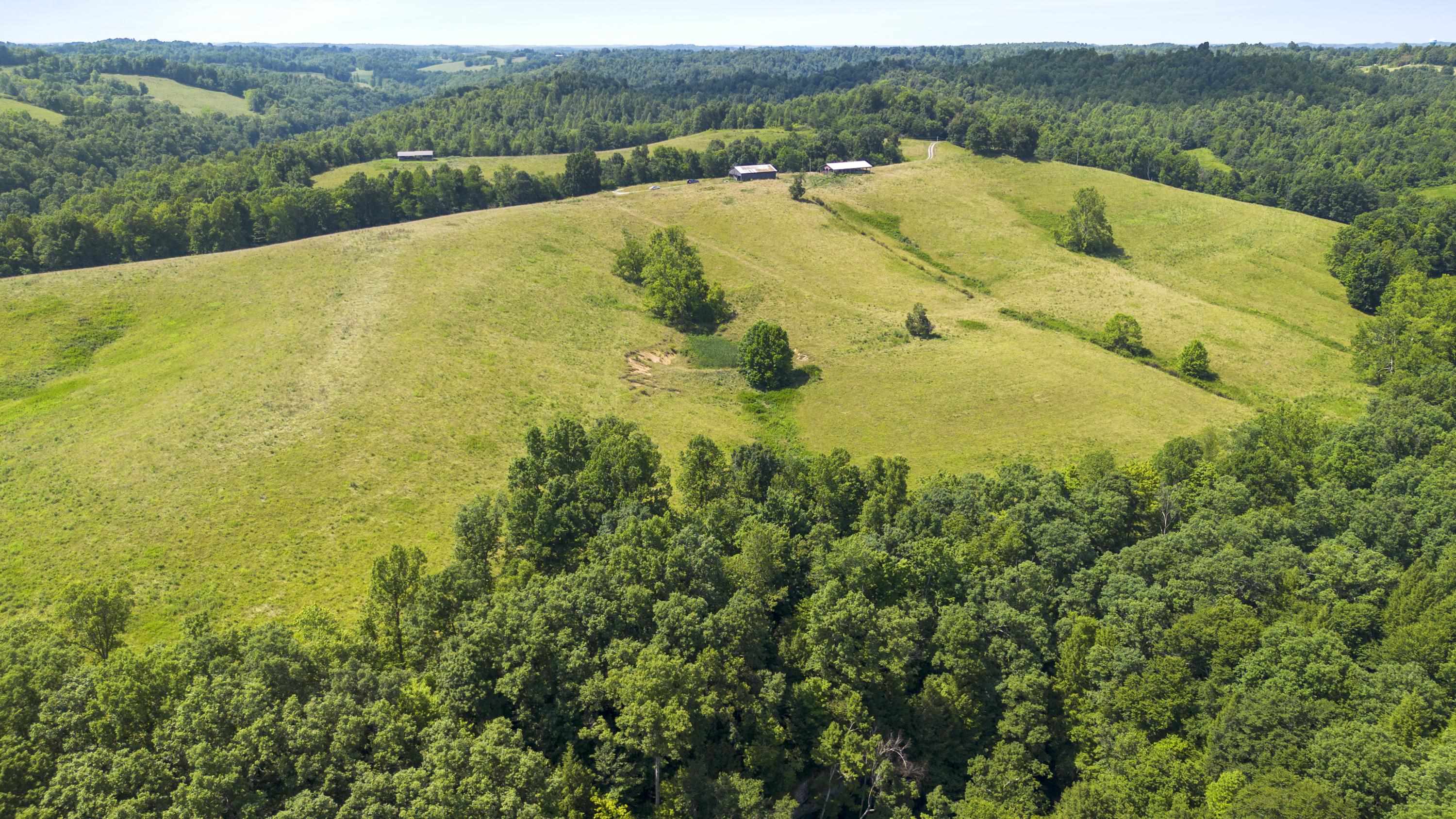 0 J Cox Road Olive Hill, KY 41164 - Photo 6 of 17