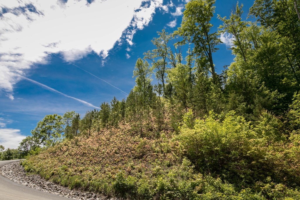 134 Summit Trails Drive Sevierville, TN 37862 - Photo 16 of 19