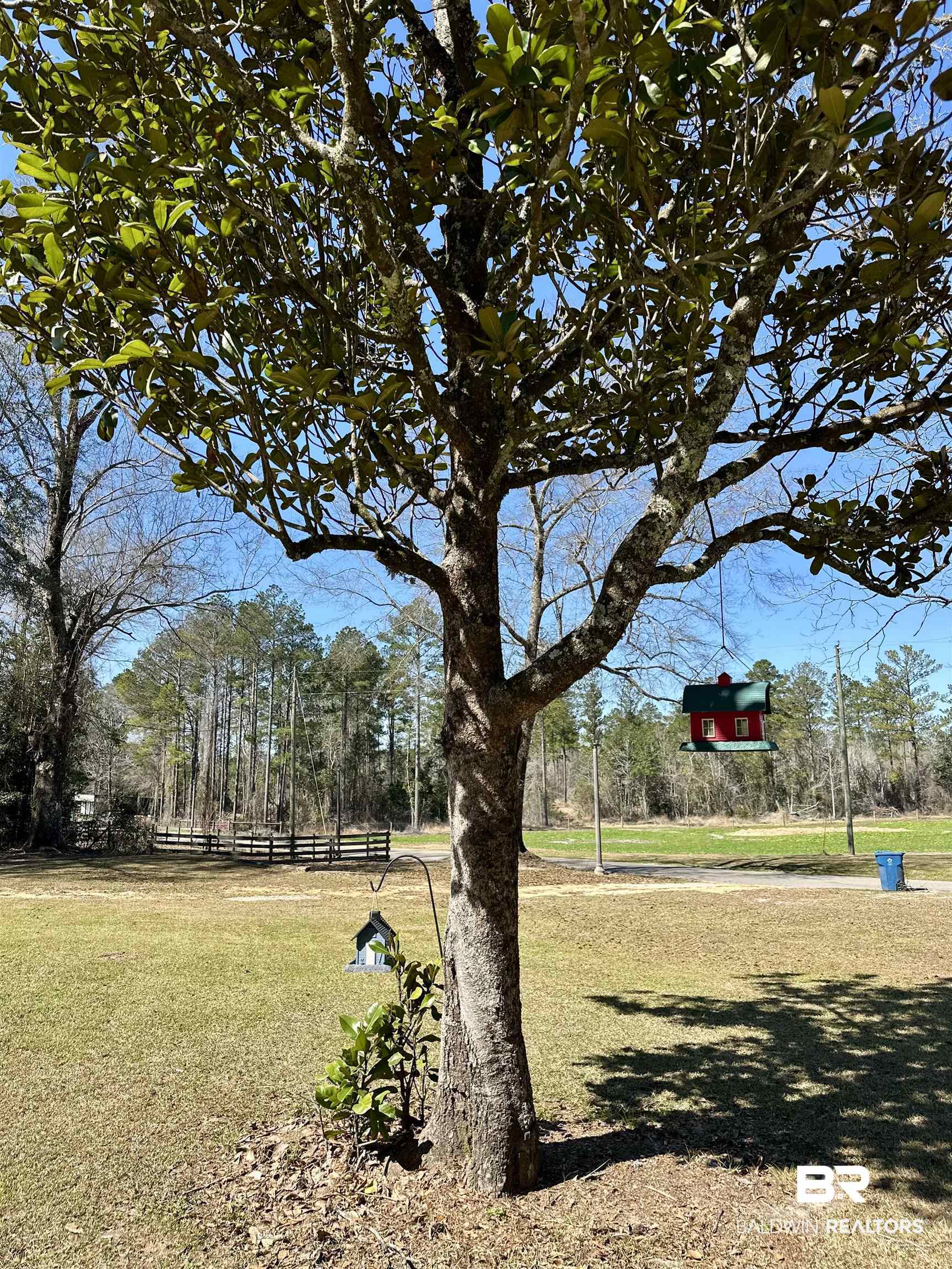 120 McGougin Road Brewton, AL 36426 - Photo 20 of 21 View of yard