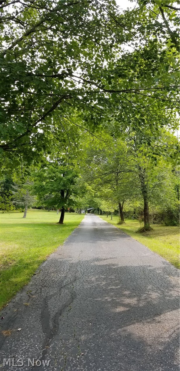 1261 Sand Run Road Akron, OH 44313 - Photo 32 of 32 The tree lined driveway leading to the home.
