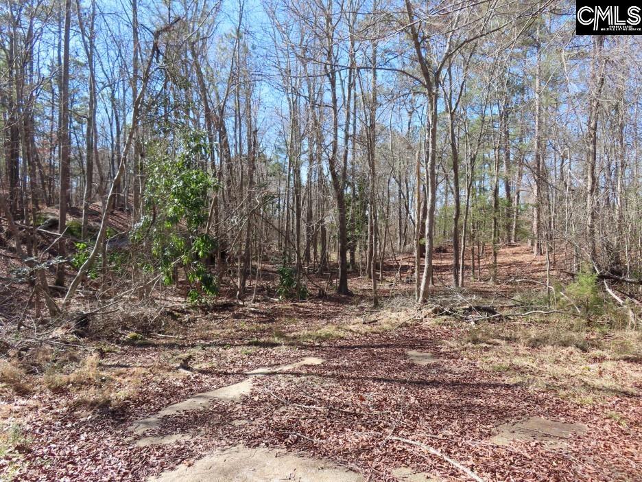 0 Rion Road Winnsboro, SC 29180 - Photo 38 of 42