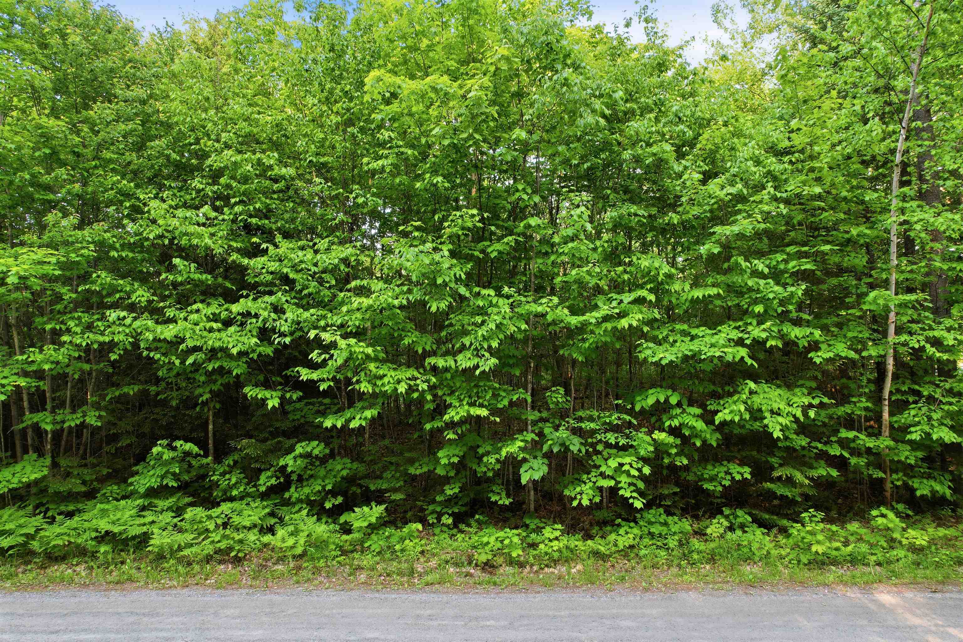 0 Porter Road Bath, NH 03740 - Photo 7 of 18