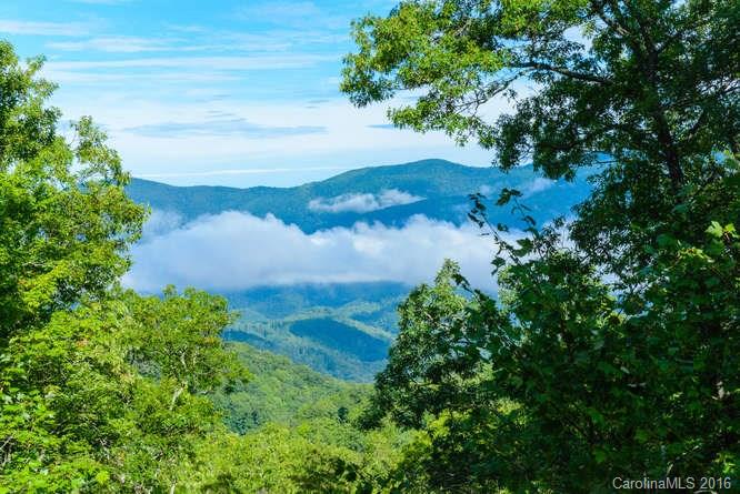 2695 Preserve Road, Unit 105 Sylva, NC 28779 - Photo 4 of 24