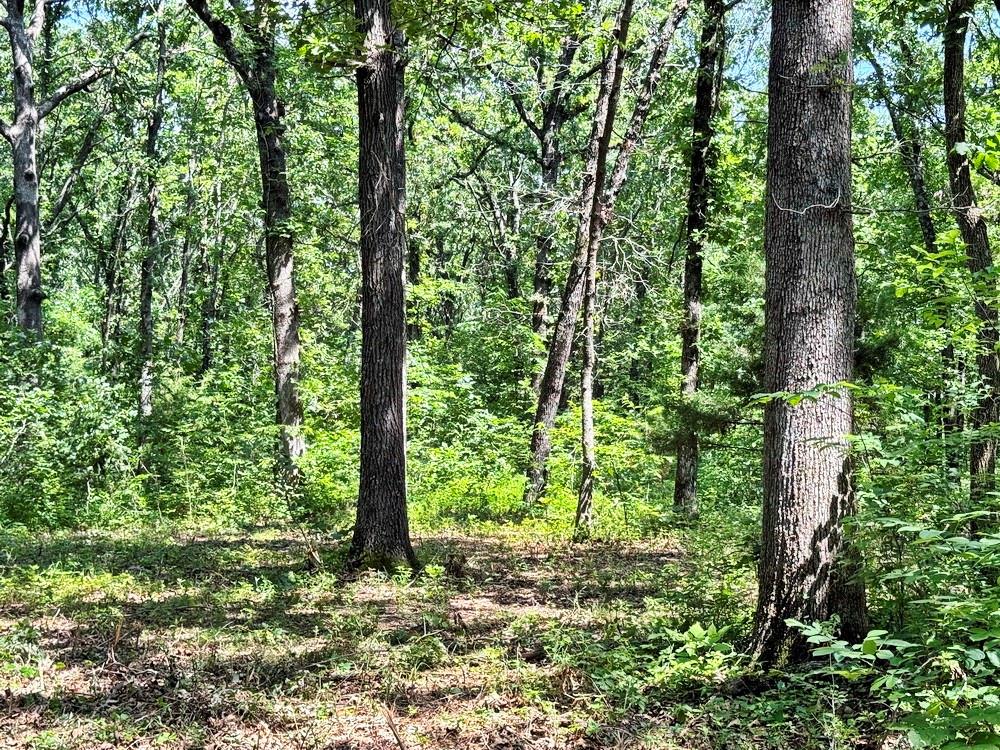 Tbd1 East 1550 Road Jerico Springs, MO 64756 - Photo 13 of 23