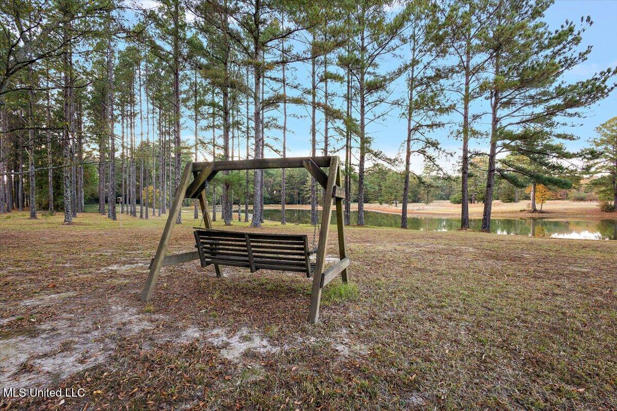 110 Anse Reed Road Magee, MS 39111 - Photo 33 of 44 32-HTP_3743