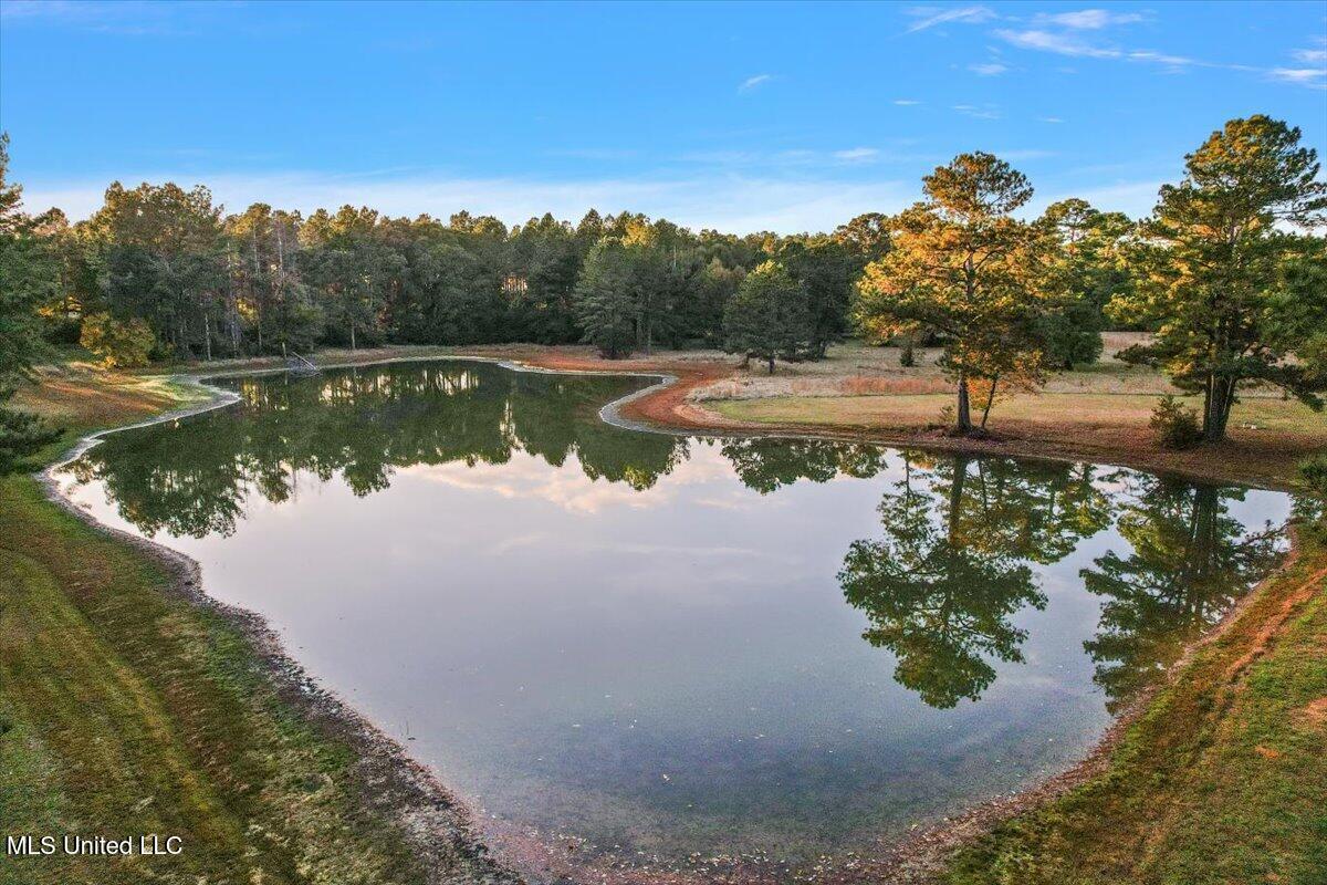 110 Anse Reed Road Magee, MS 39111 - Photo 34 of 44 33-DJI_0792