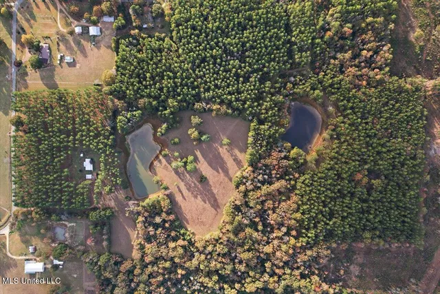 $353,228 | 110 Anse Reed Road, Magee, MS 39111