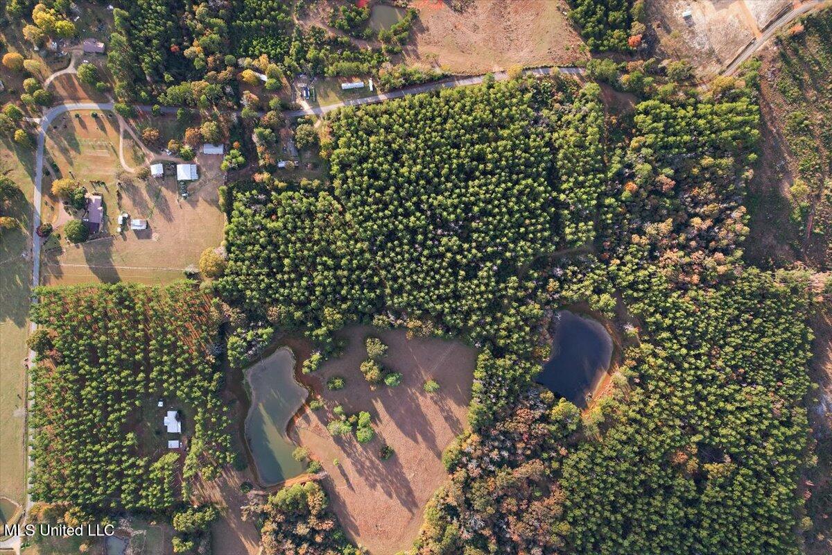 110 Anse Reed Road Magee, MS 39111 - Photo 42 of 44 41-DJI_0775