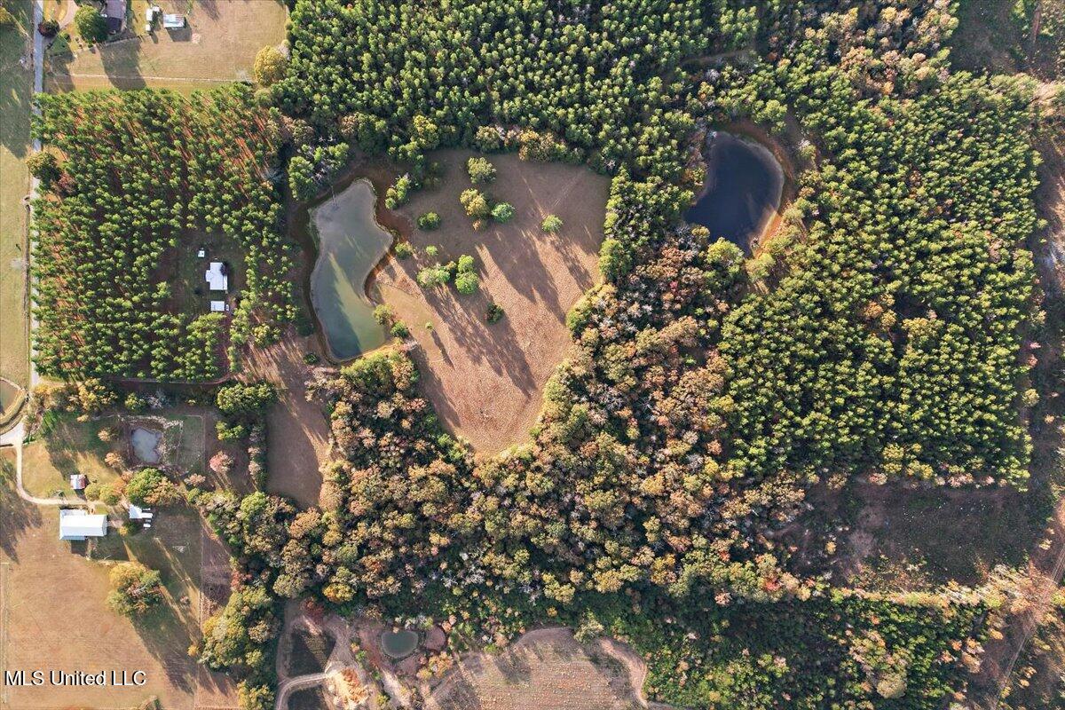 110 Anse Reed Road Magee, MS 39111 - Photo 43 of 44 42-DJI_0778