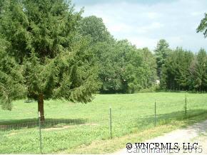 1124 North Country Club Road Brevard, NC 28712 - Photo 3 of 12 Gallery Image 3