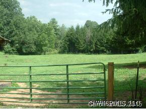 1124 North Country Club Road Brevard, NC 28712 - Photo 7 of 12 Gallery Image 7