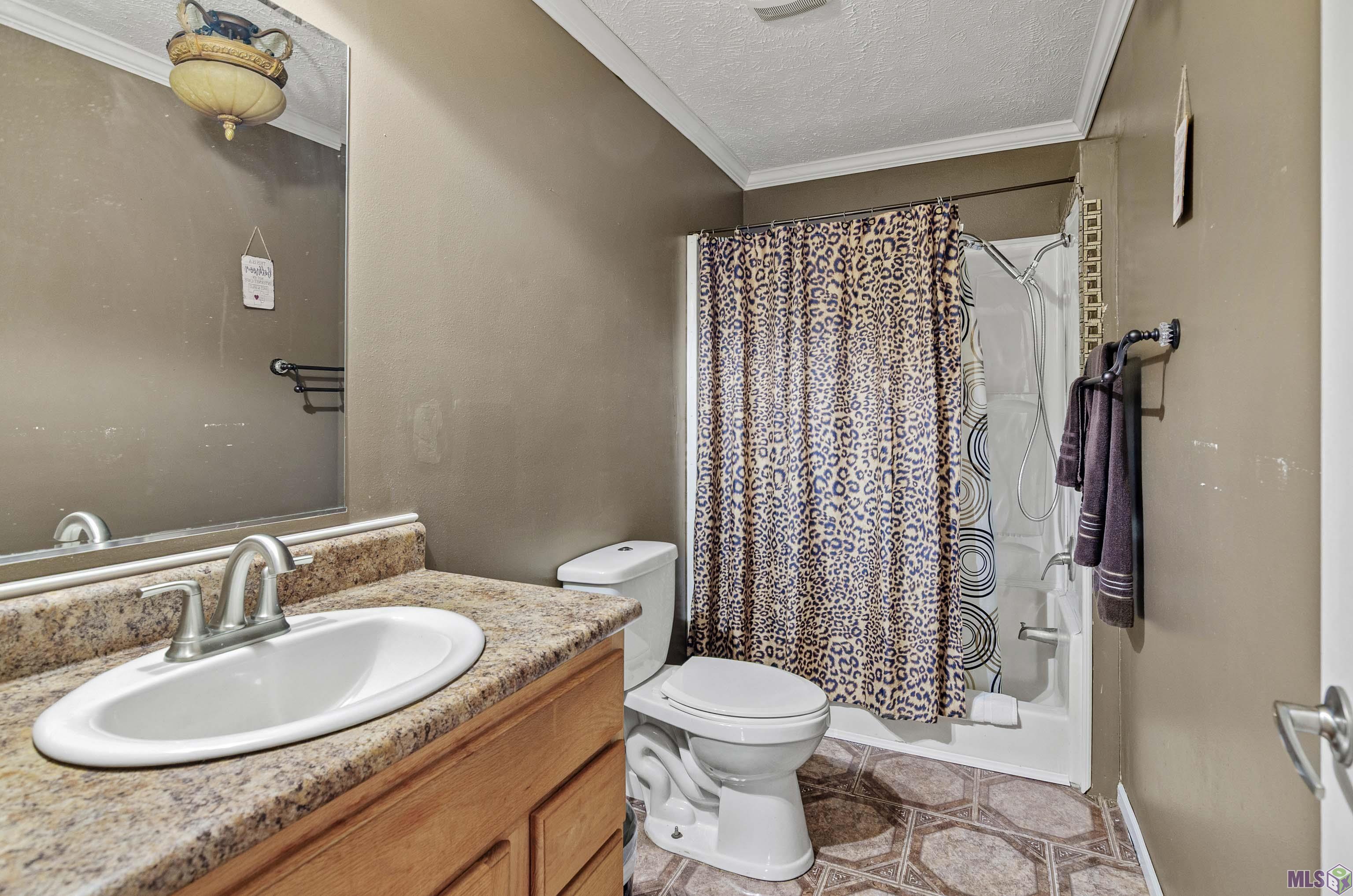 9450 Bueche Road Erwinville, LA 70729 - Photo 16 of 27 Bathroom 2