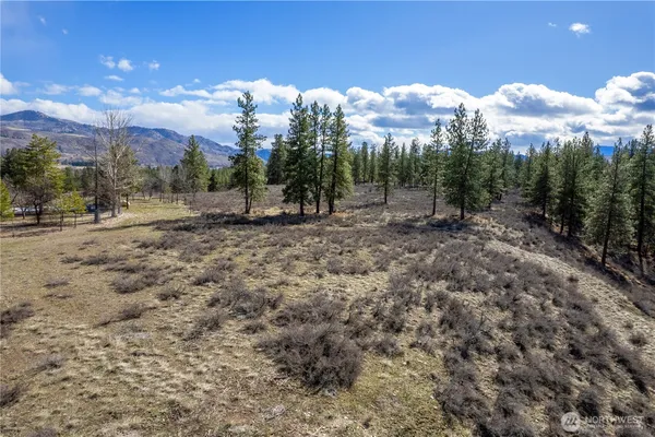a view of a dry yard with trees in the background
