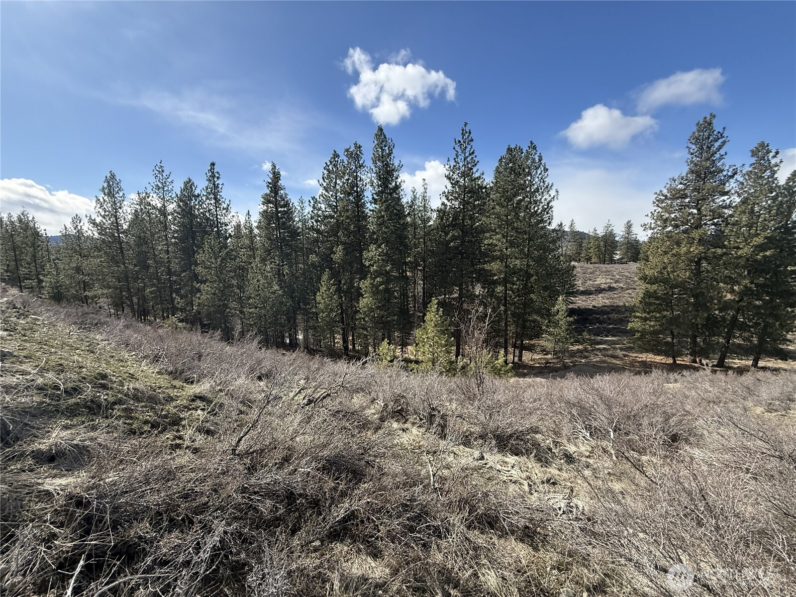40-tbd Rabbit House Road Winthrop, WA 98862 - Photo 11 of 40 a view of a yard in a yard