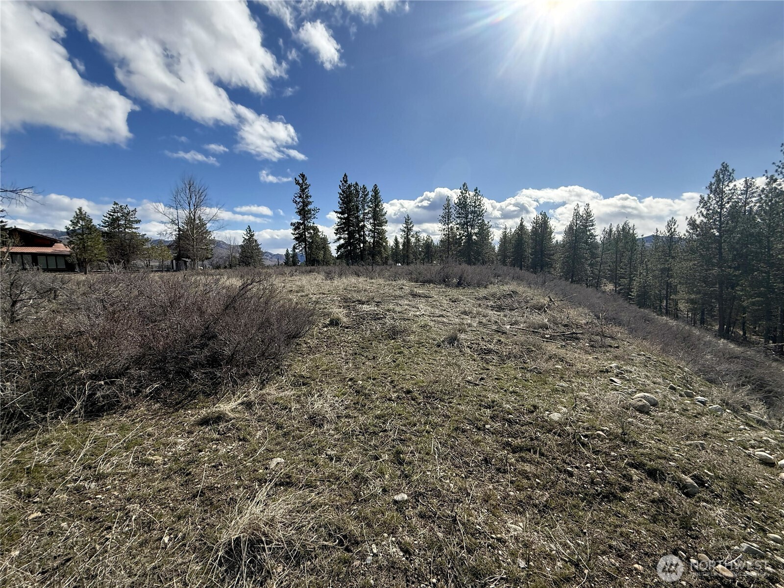 40-tbd Rabbit House Road Winthrop, WA 98862 - Photo 13 of 40 a view of a dry yard