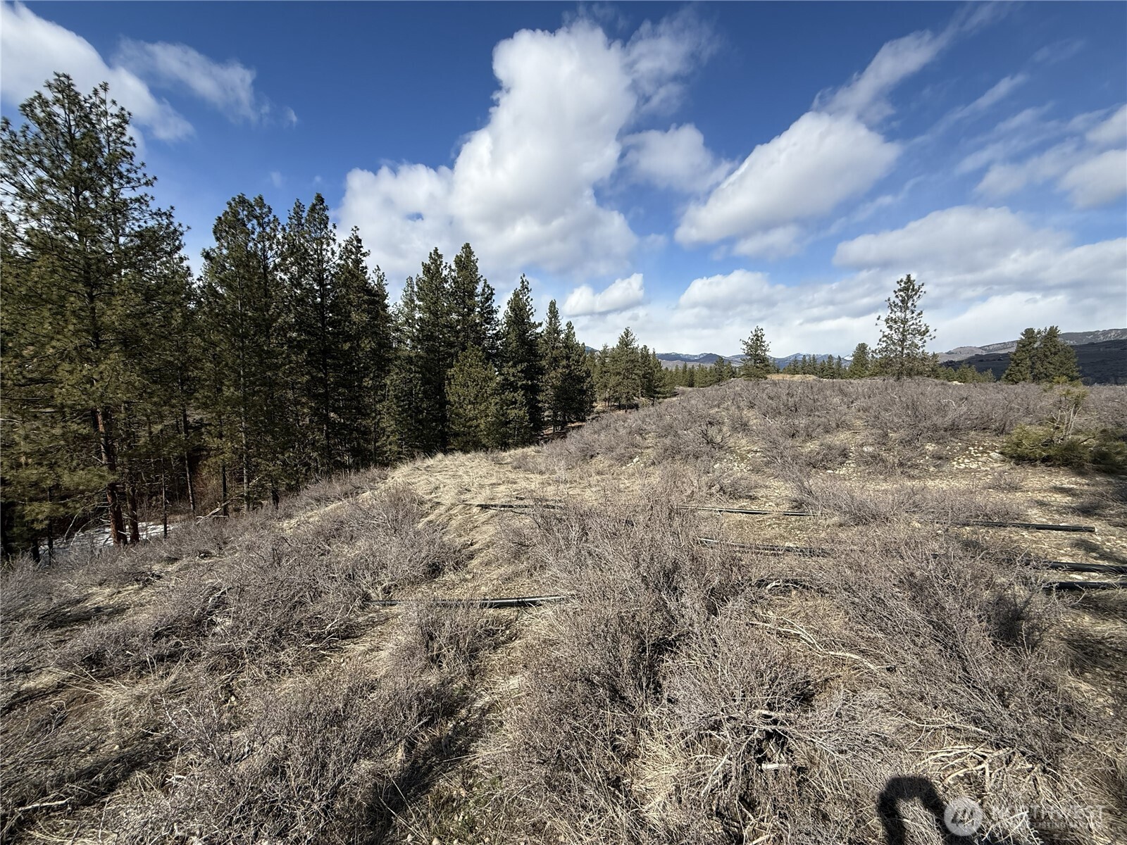 40-tbd Rabbit House Road Winthrop, WA 98862 - Photo 16 of 40 a view of a dry yard
