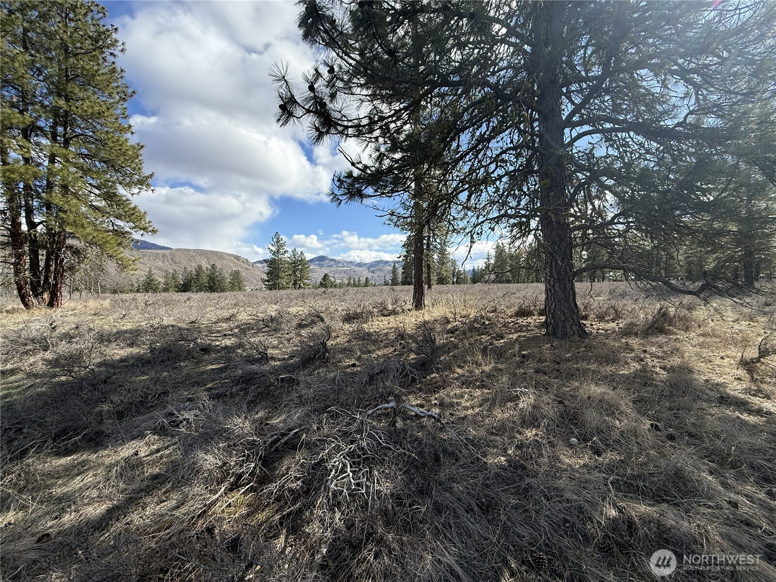 40-tbd Rabbit House Road Winthrop, WA 98862 - Photo 17 of 40 a view of open space with green space
