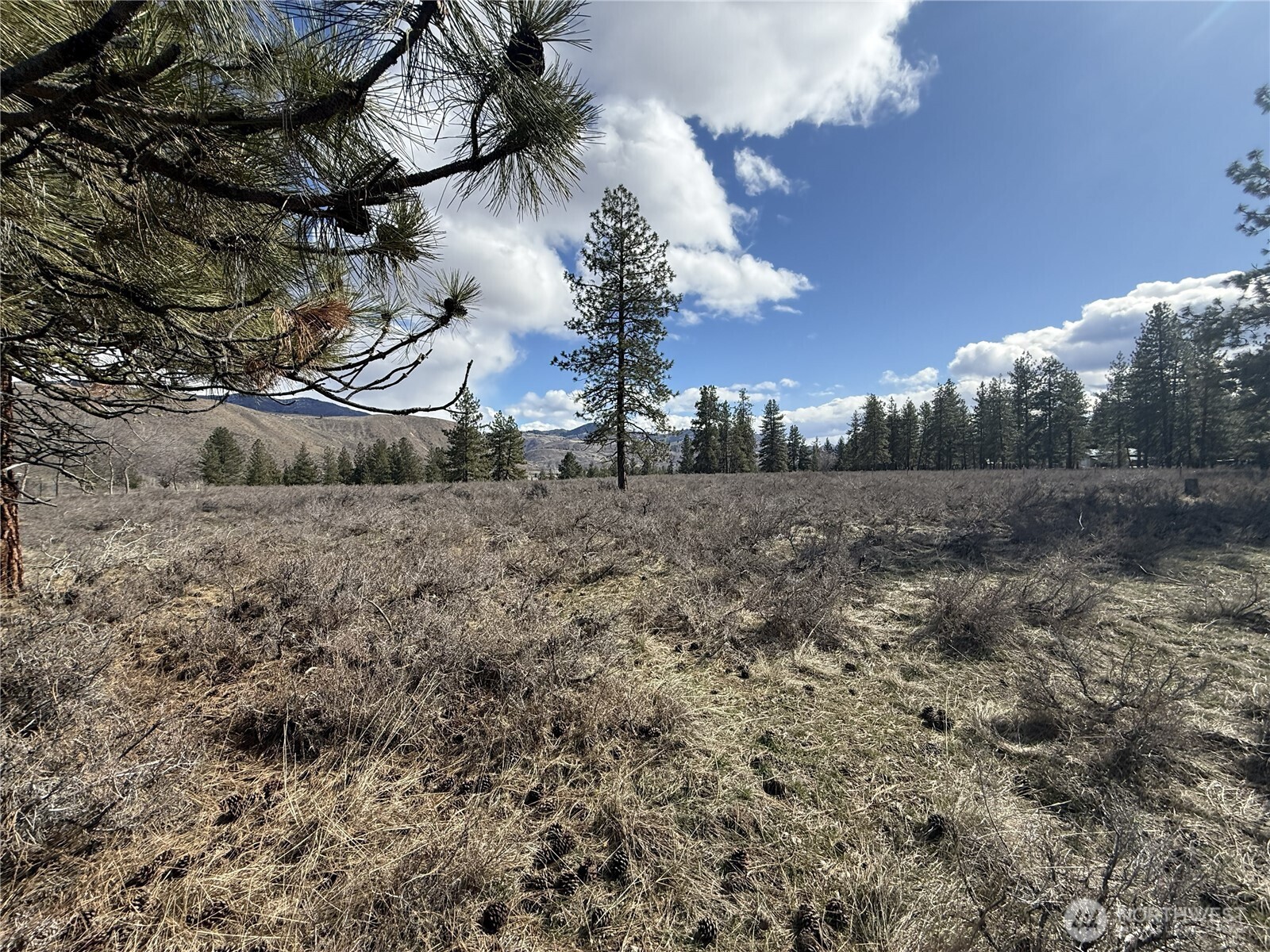 40-tbd Rabbit House Road Winthrop, WA 98862 - Photo 18 of 40 a view of a dry yard