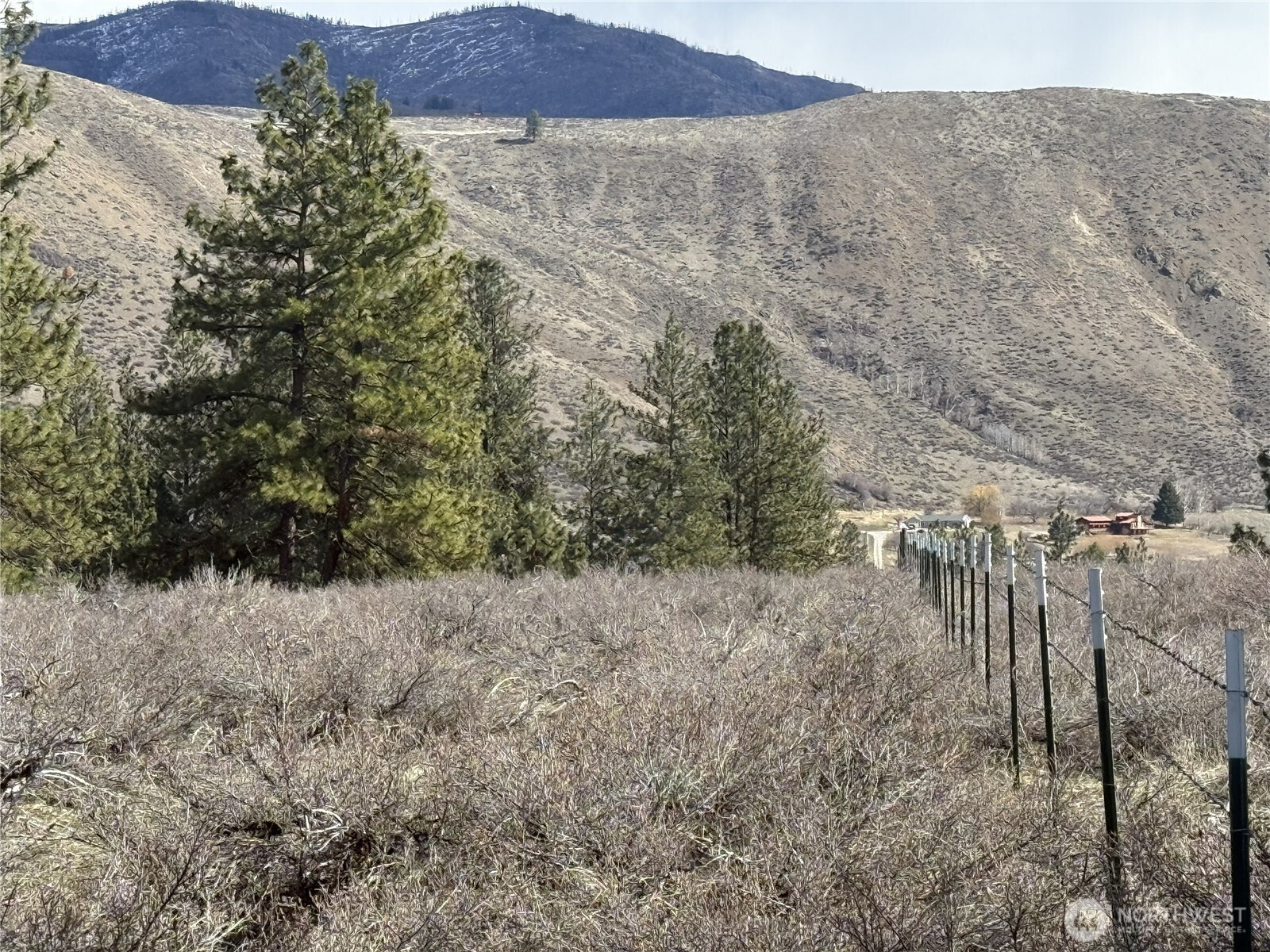 40-tbd Rabbit House Road Winthrop, WA 98862 - Photo 19 of 40 a view of a dry yard with trees