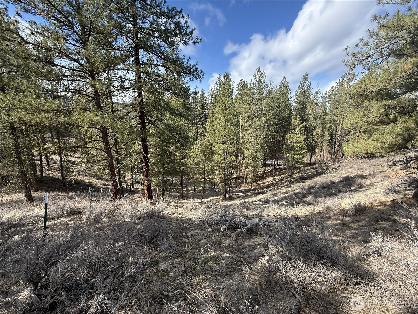 40-tbd Rabbit House Road Winthrop, WA 98862 - Photo 20 of 40
