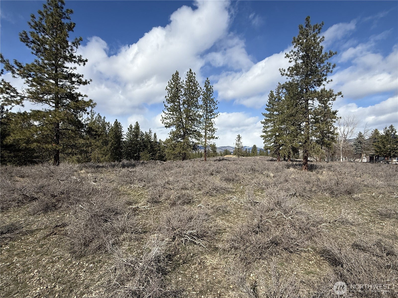 40-tbd Rabbit House Road Winthrop, WA 98862 - Photo 22 of 40 a view of a dry yard with trees