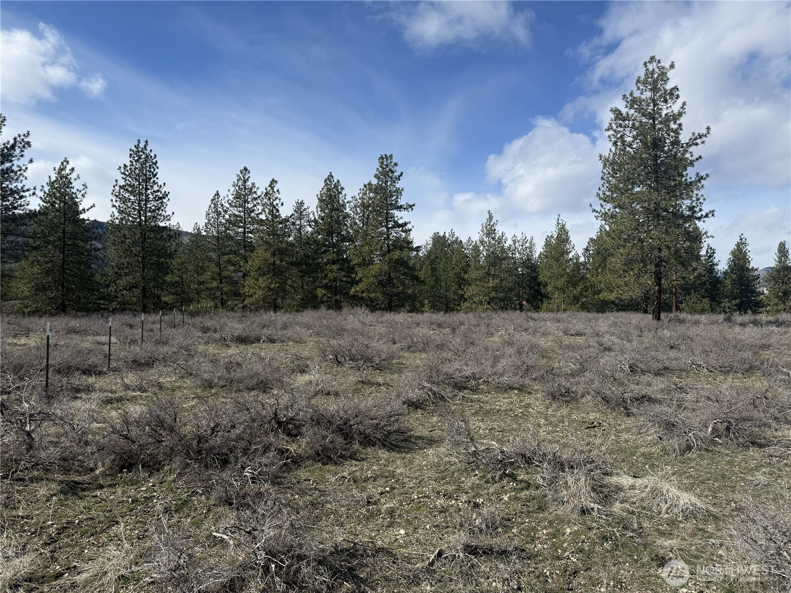 40-tbd Rabbit House Road Winthrop, WA 98862 - Photo 23 of 40 a view of a field with trees in background