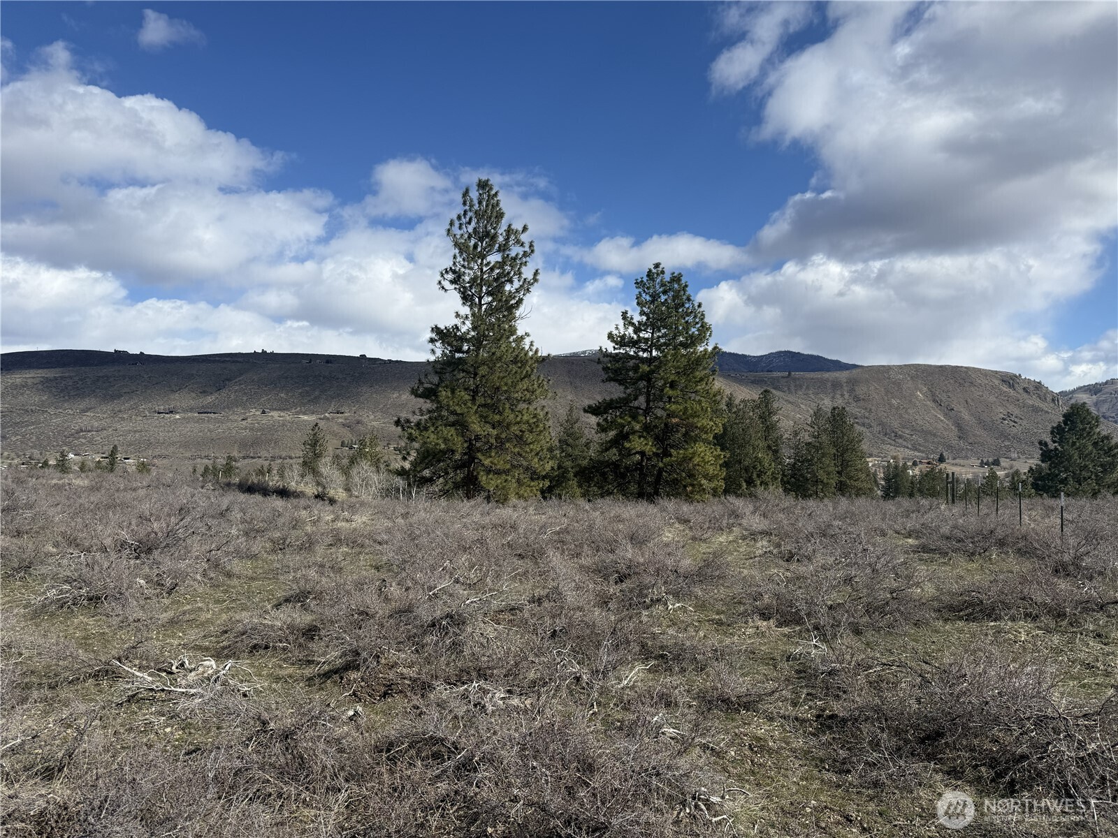40-tbd Rabbit House Road Winthrop, WA 98862 - Photo 24 of 40 a view of a dry yard with trees