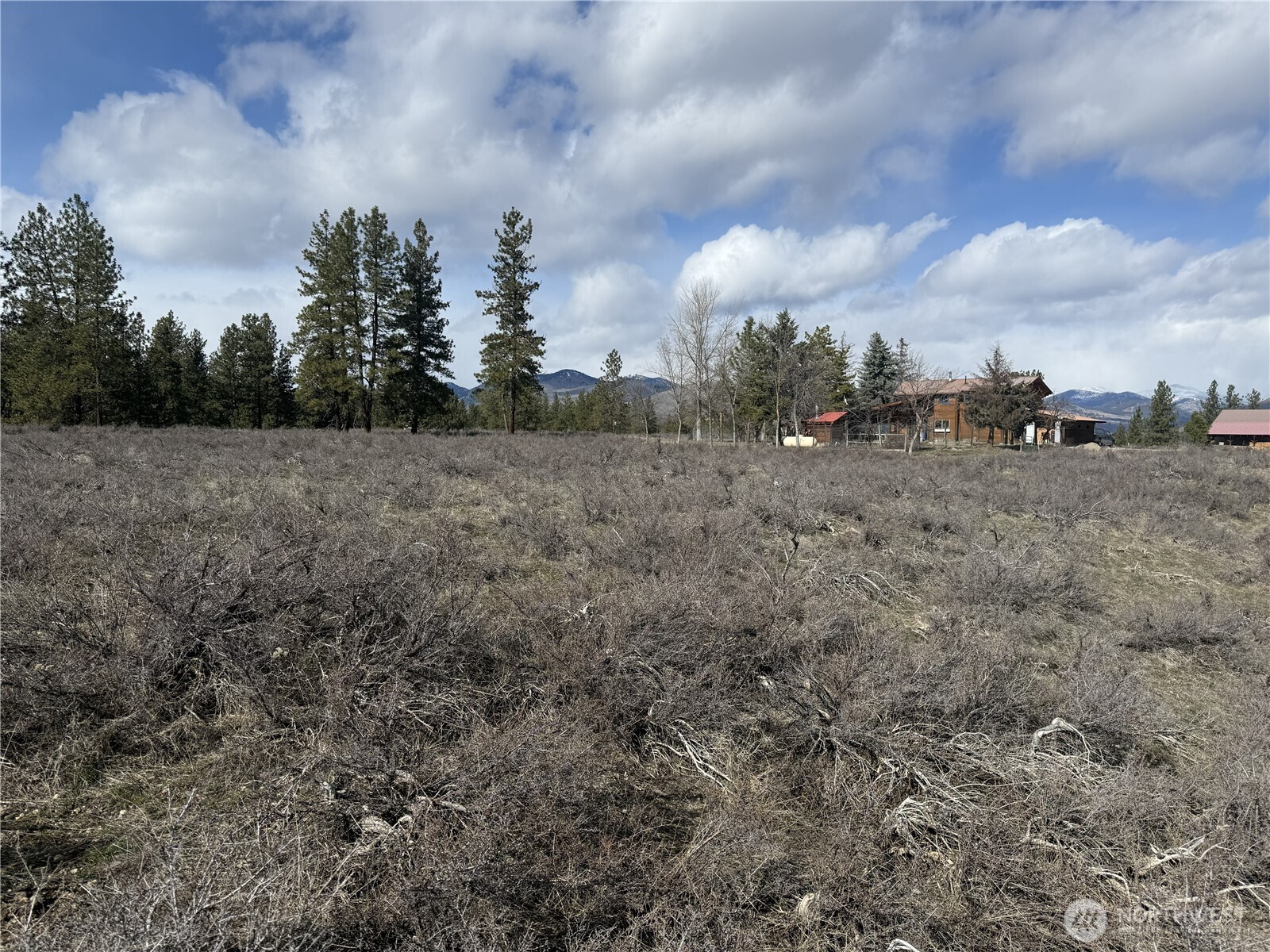 40-tbd Rabbit House Road Winthrop, WA 98862 - Photo 26 of 40 a view of a dry yard with trees