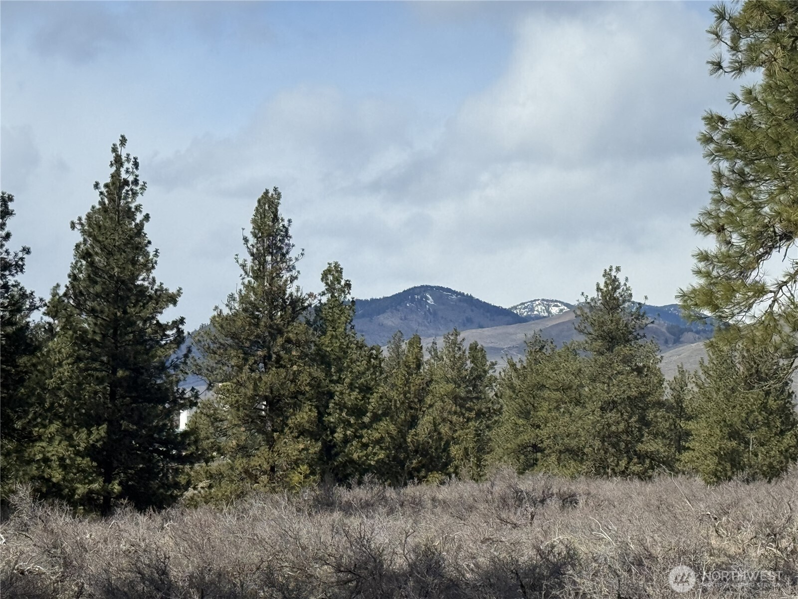 40-tbd Rabbit House Road Winthrop, WA 98862 - Photo 27 of 40 a view of a city with lush green forest