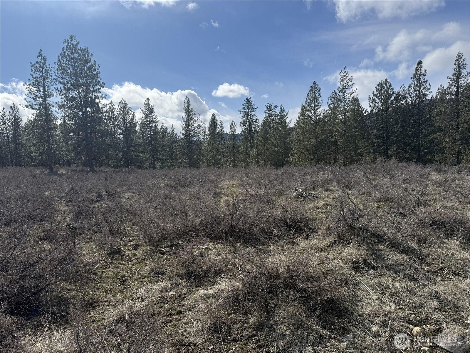 40-tbd Rabbit House Road Winthrop, WA 98862 - Photo 28 of 40 a view of a forest with trees in the background