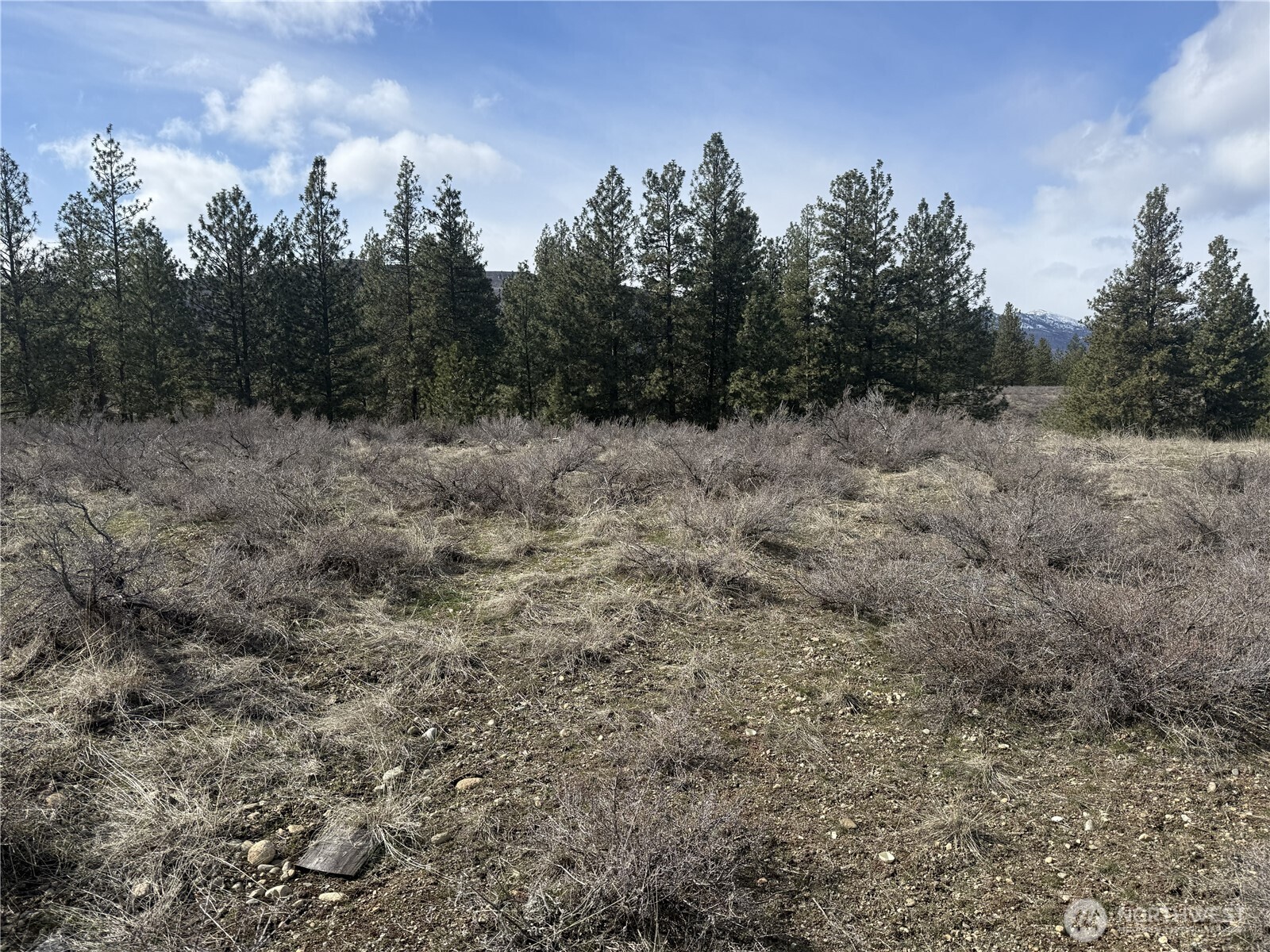 40-tbd Rabbit House Road Winthrop, WA 98862 - Photo 29 of 40 a view of a dry yard with trees